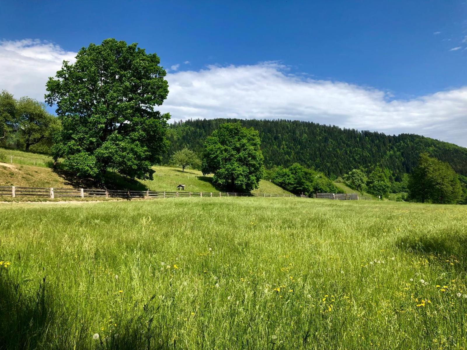 Glamping Savinja Ξενοδοχείο Ljubno Εξωτερικό φωτογραφία