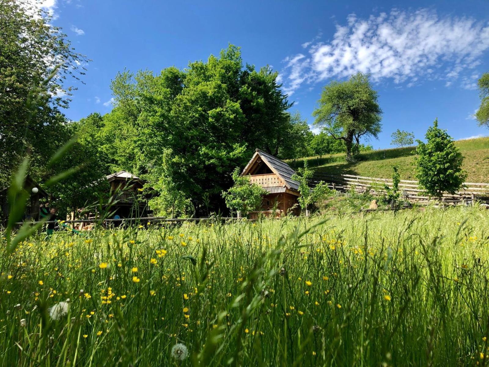 Glamping Savinja Ξενοδοχείο Ljubno Εξωτερικό φωτογραφία