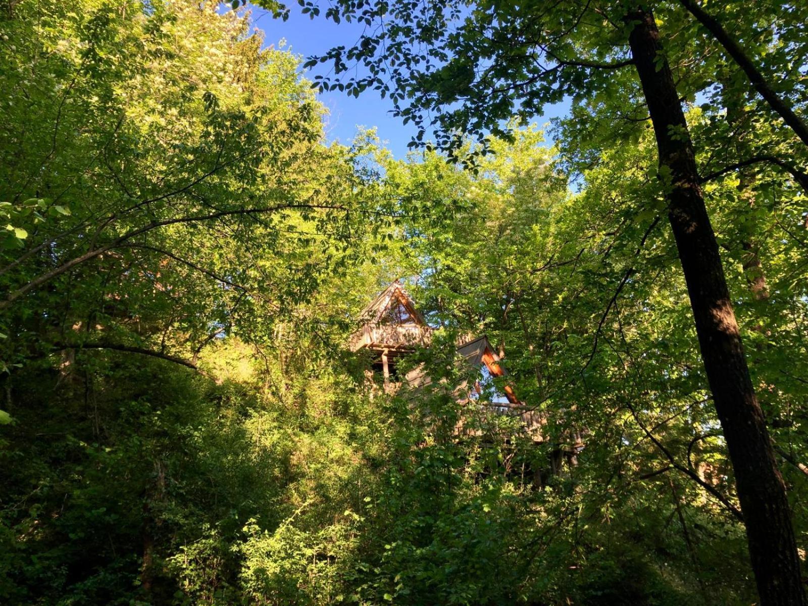 Glamping Savinja Ξενοδοχείο Ljubno Εξωτερικό φωτογραφία