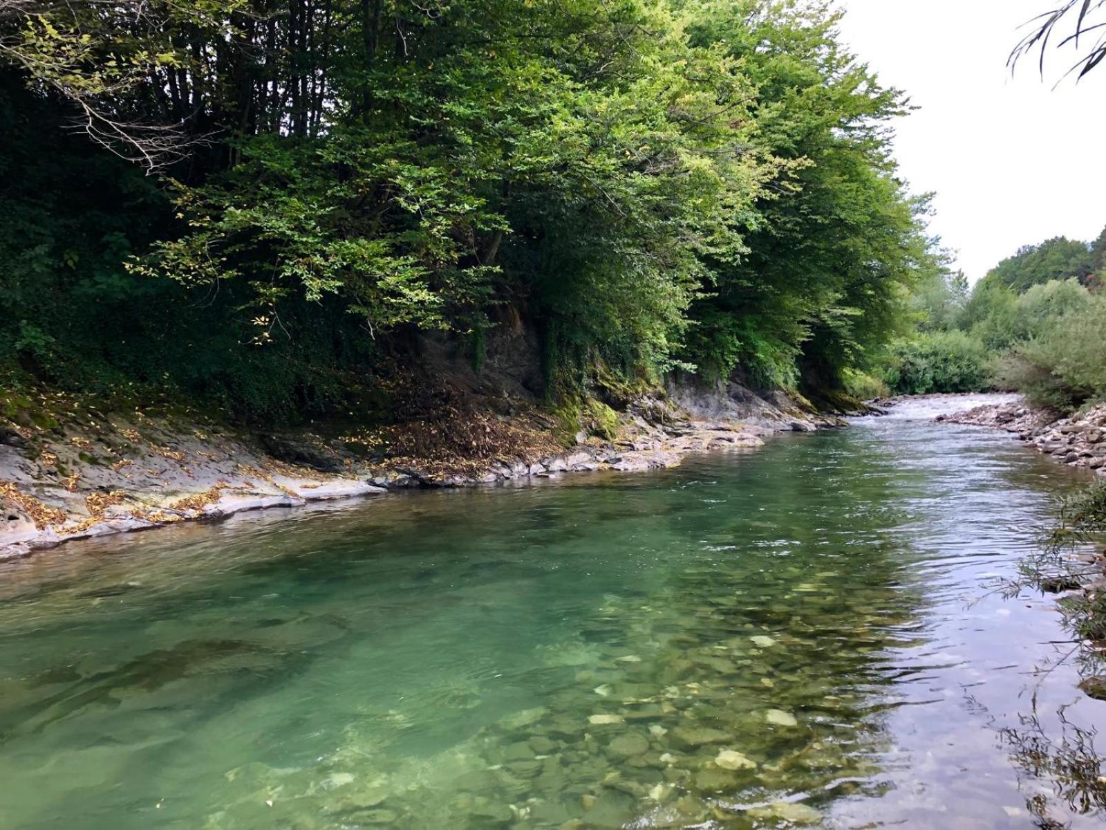 Glamping Savinja Ξενοδοχείο Ljubno Εξωτερικό φωτογραφία