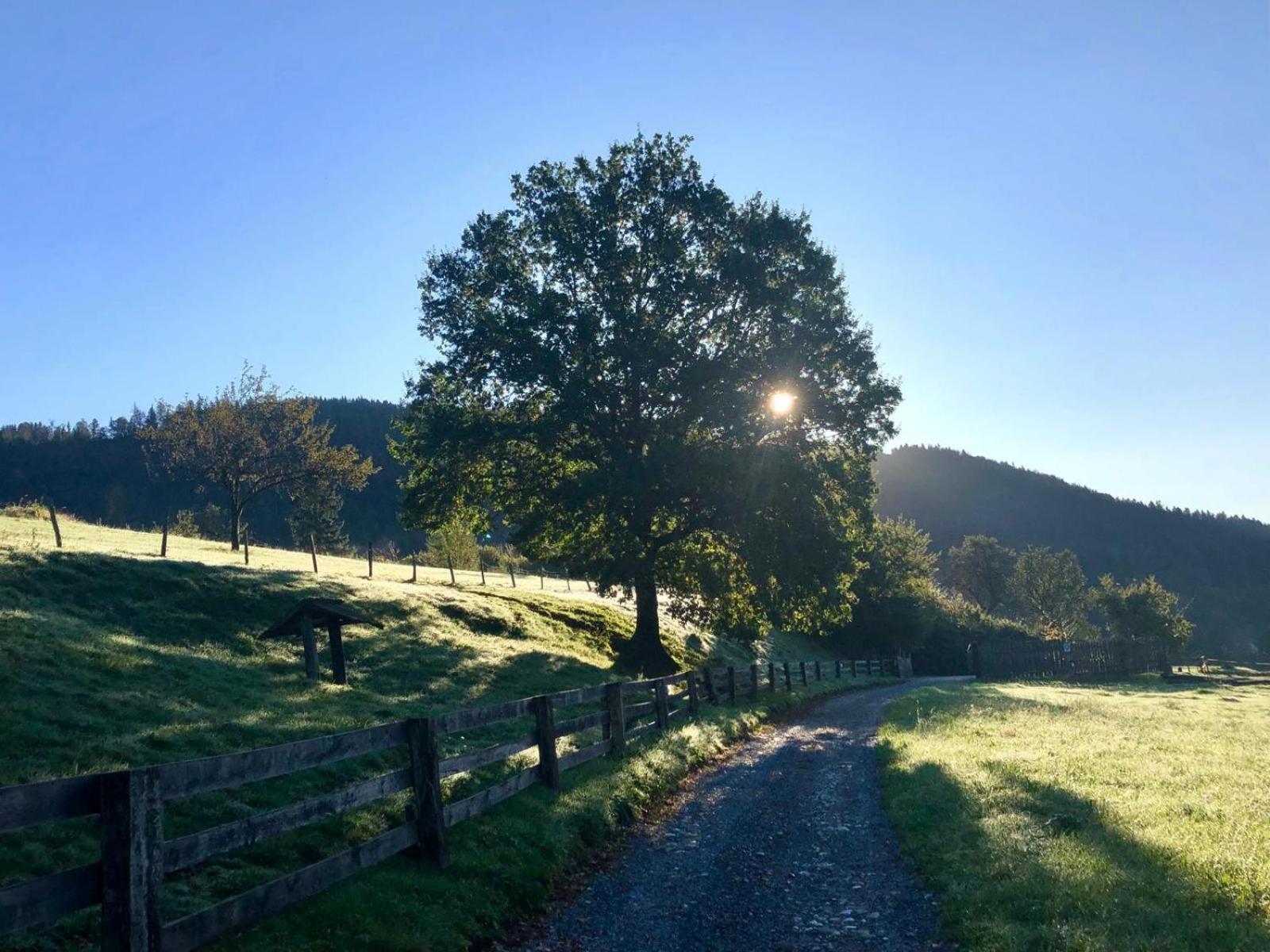Glamping Savinja Ξενοδοχείο Ljubno Εξωτερικό φωτογραφία