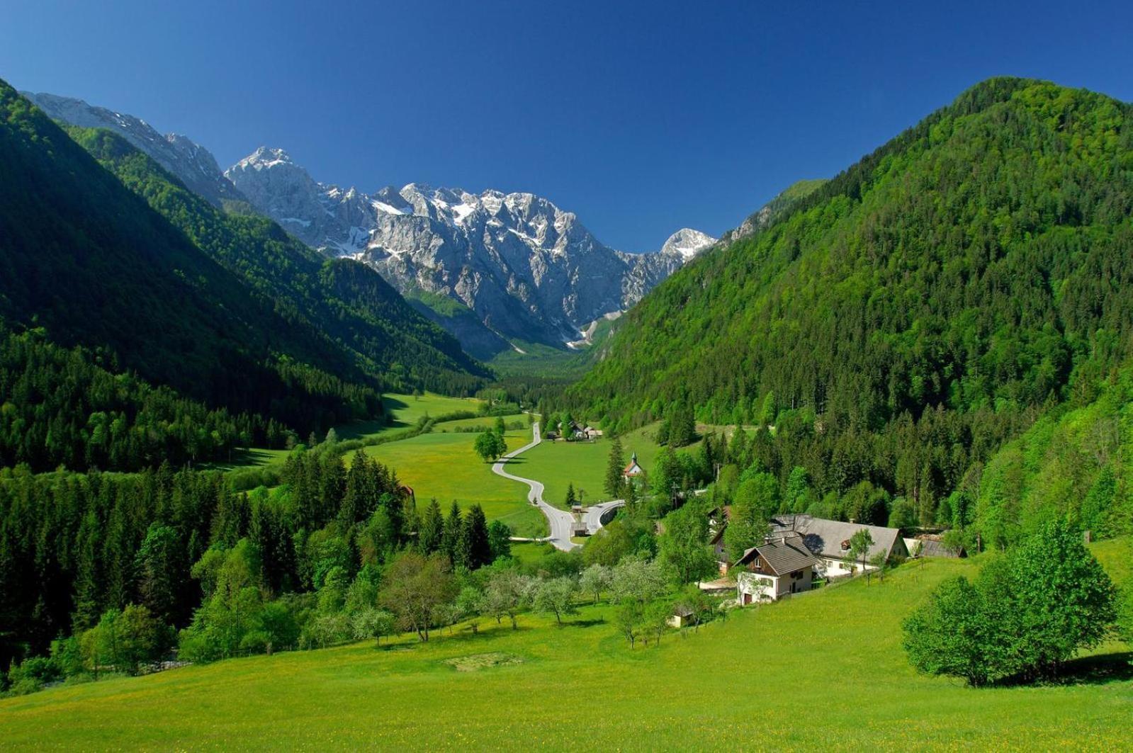 Glamping Savinja Ξενοδοχείο Ljubno Εξωτερικό φωτογραφία