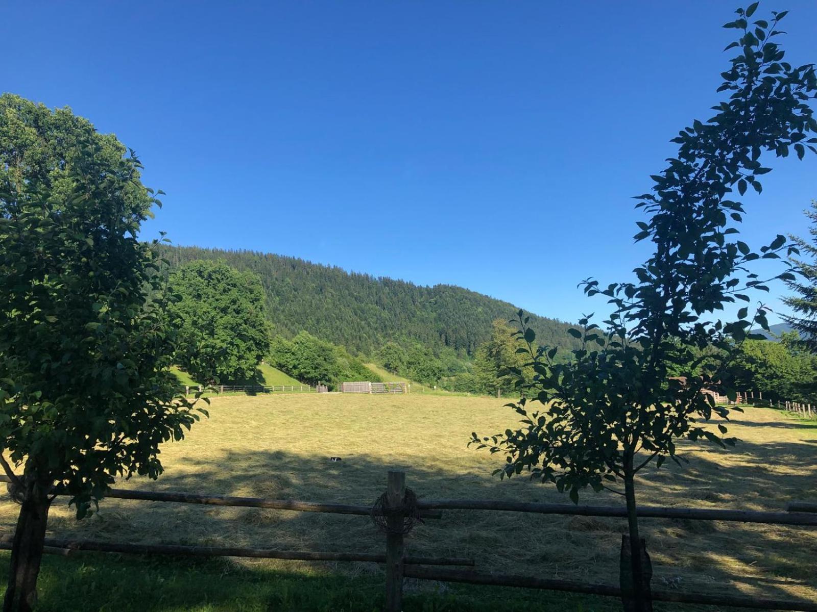 Glamping Savinja Ξενοδοχείο Ljubno Εξωτερικό φωτογραφία